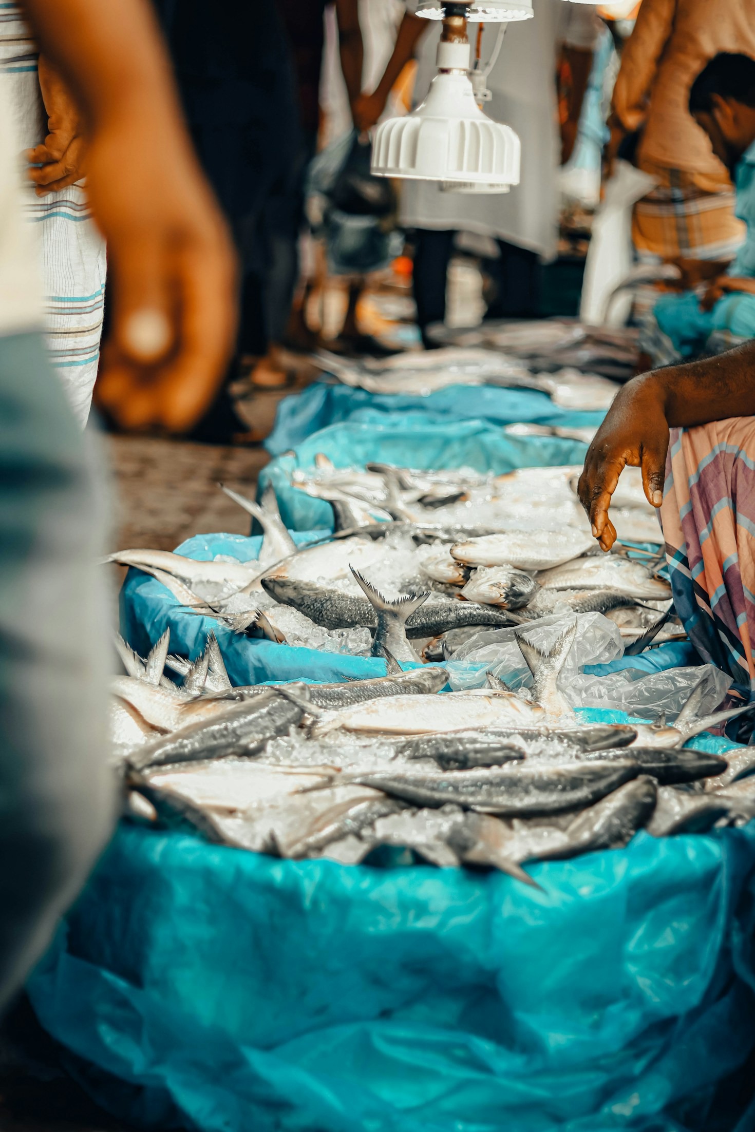 أهم النصائح لتخزين المواد الغذائية بشكل صحيح